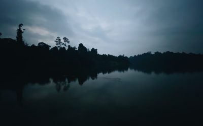 Ambiente Calmo: Menos Ansiedade